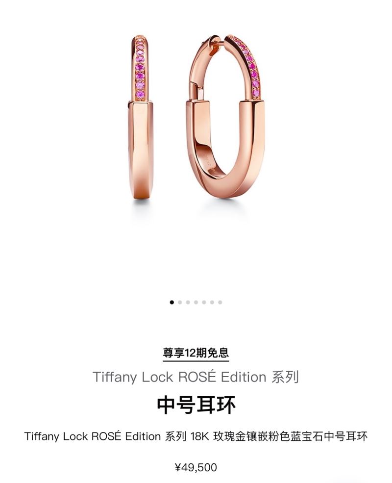 T*f*ny earrings